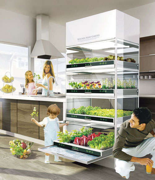 A Hydroponic Garden in Your Kitchen